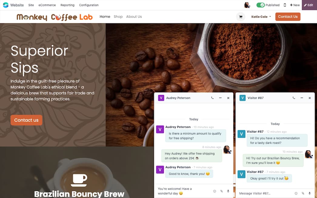Live Chat — Odoo